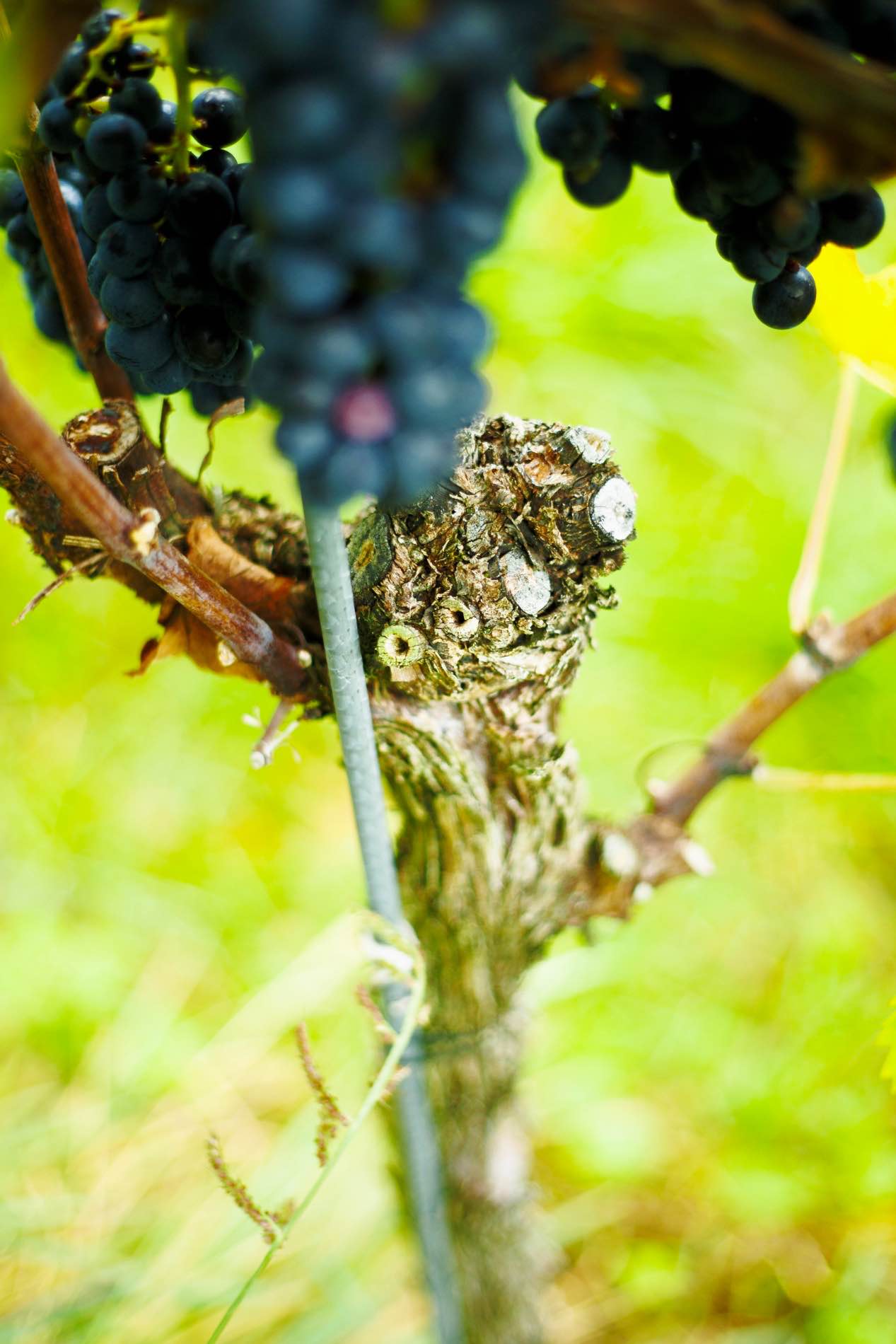 Martin Frick Fotograf Basel Lörrach Freiburg